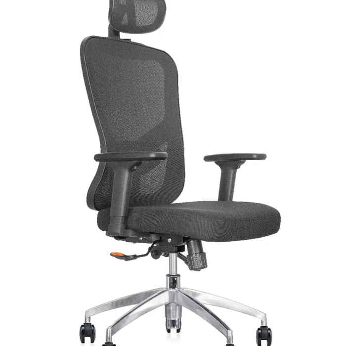 Silla Presidencial C861